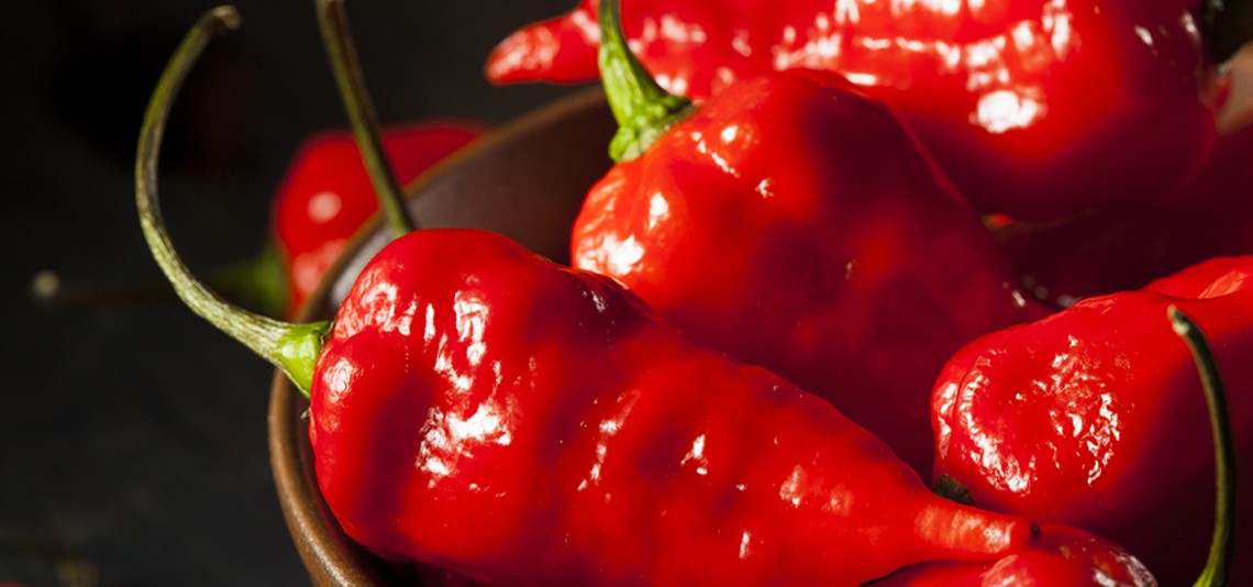 Smoking Hot! The 10 Hottest Chili Peppers In The World