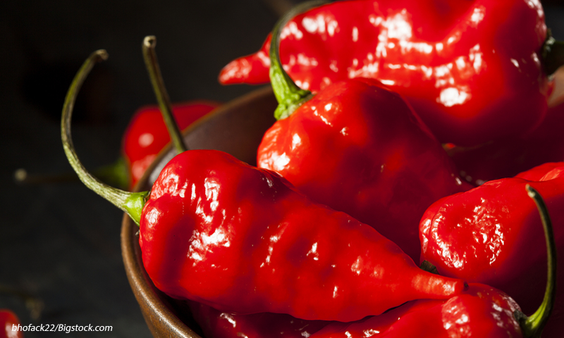 Smoking Hot! The 10 Hottest Chili Peppers In The World