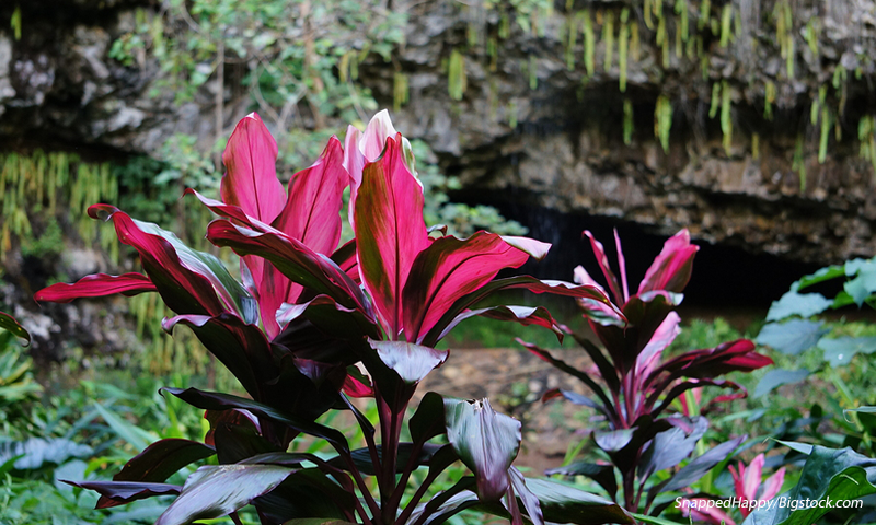 10 Romantic Places To Kiss In The World At Least Once - Fern Grotto – Kauai, Hawaii